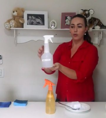 Arquivo Para Limpeza De Armario Dicas Da Lucy